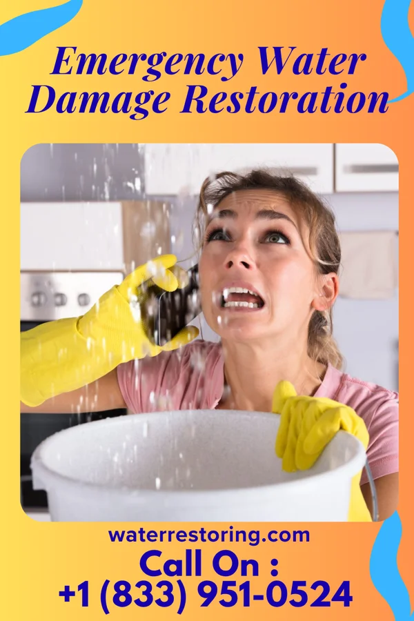 Emergency Water Damage Restoration in Gibson, GA