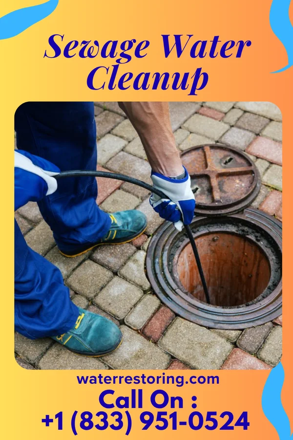 Sewage Water Cleanup in Gibson, GA